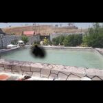 ۷۰۰متر زمین سند اوقاف 700-meters-from-sanad-awqaf-garden