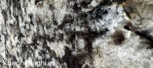 سنگ گرانیت و تنوع گرانیت