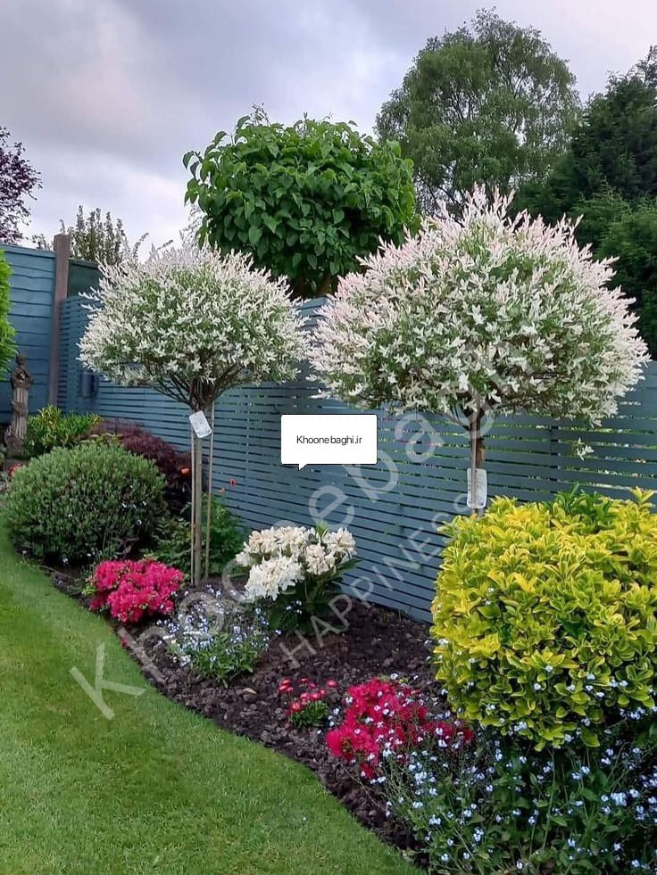 حوطه‌سازی ویلا می‌تواند به سبک‌های مختلفی اجرا شود، از طراحی مینیمالیستی مدرن گرفته تا سبک کلاسیک با جزئیات فاخر. برای الهام گرفتن از نمونه‌های خاص، می‌توانید اینجا را ببینید